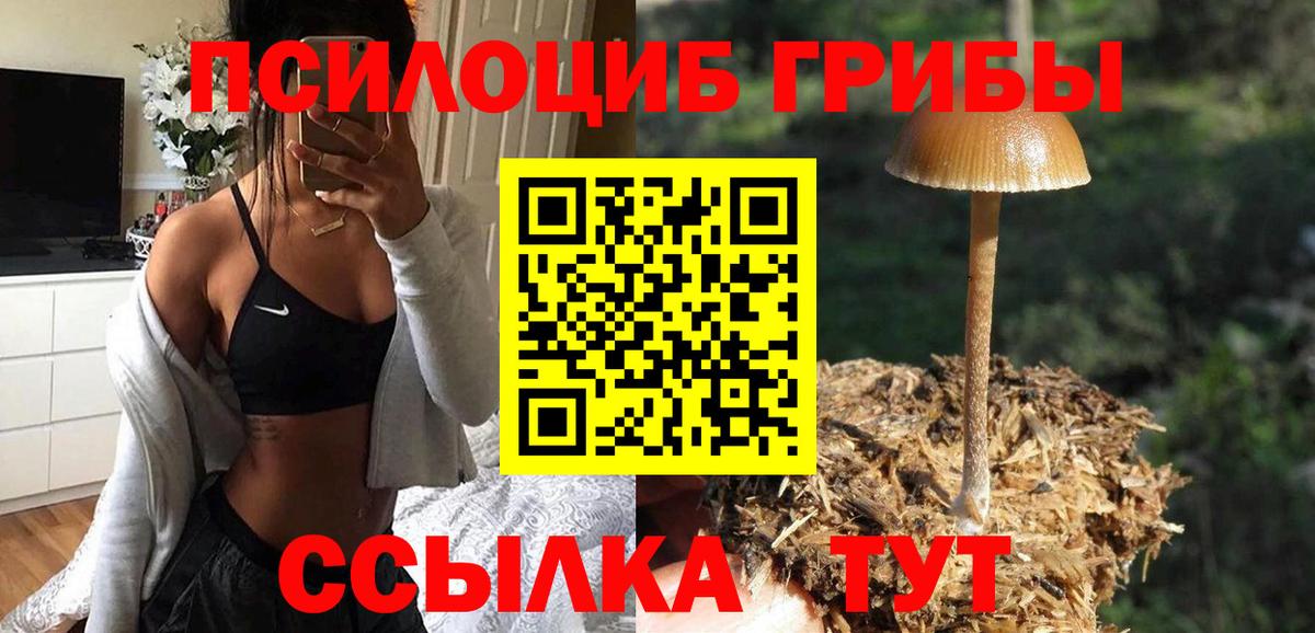 Галлюциногенные грибы ЛСД Кыштым