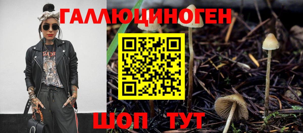 Кыштым  Псилоцибиновые грибы Psilocybine cubensis  Вход с VPN 